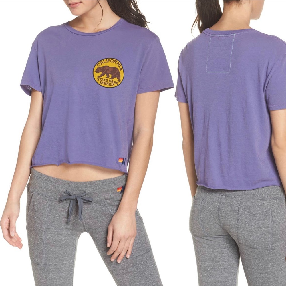 Aviator Nation Purple California State Park Bear 🐻 Tee. Size Small.